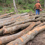 Cord of Firewood